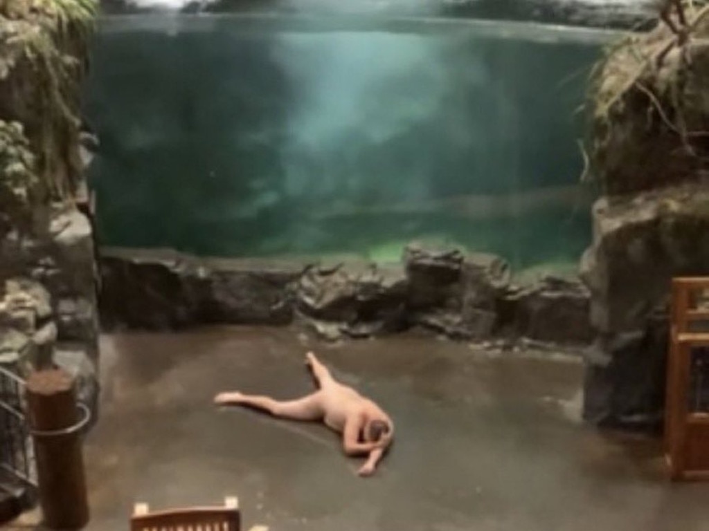 Man arrested after naked dive into aquarium at a store in Alabama. Picture: Supplied