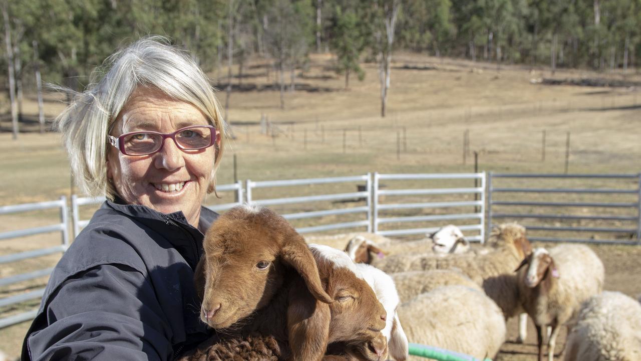 Di Piggott at the Awassi Queensland sheep cheesery at Grantham. Picture: Dominic Elsome