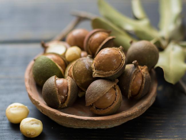 The Australian macadamia nut industry didn’t begin to flourish until the 1950s