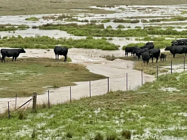 The Brewer family near Bullioh have registered 180mm of rain in 10 hours, the biggest rainfall event they have ever seen in their time on the farm.