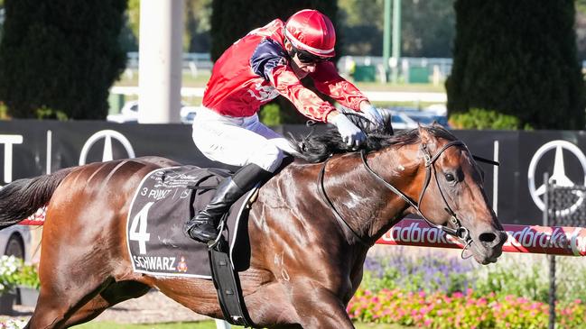 Schwarz ridden by Jamie Mott wins the 3 Point Motors William Reid Stakes at Moonee Valley Racecourse on March 22, 2025 in Moonee Ponds, Australia. (Photo by George Sal/Racing Photos via Getty Images)