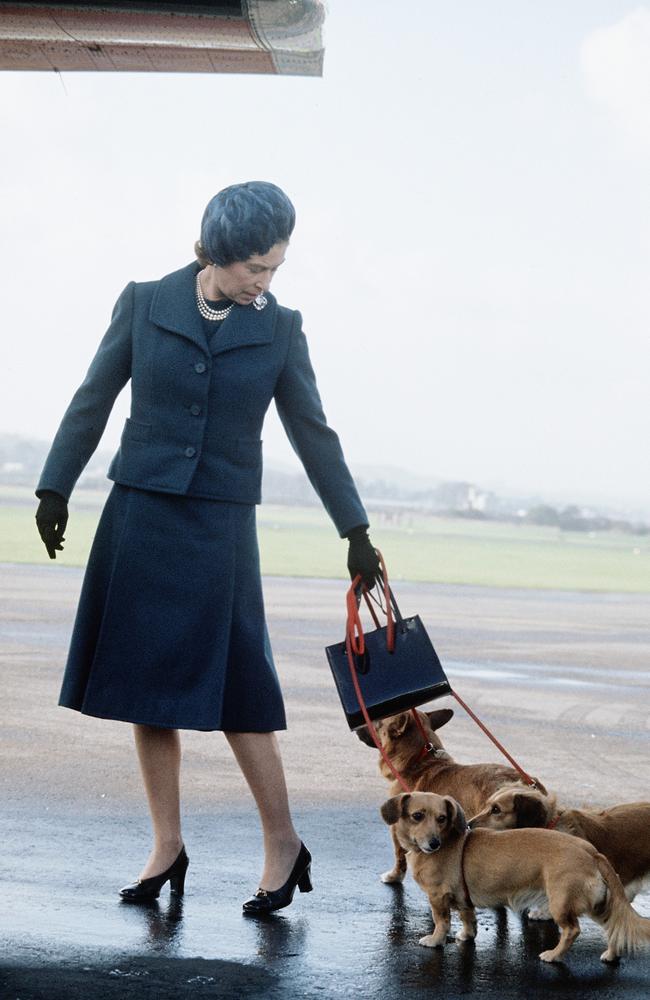 The Queen arrives at Aberdeen Airport with her corgis to start her holidays in Balmoral in 1974. Picture: Anwar Hussein/Getty Images