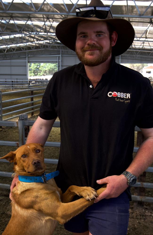 Cobber challenge winner Earl the kelpie – a sheep and cattle dog – with his owner Alex Johns, of Fingal in Tasmania.