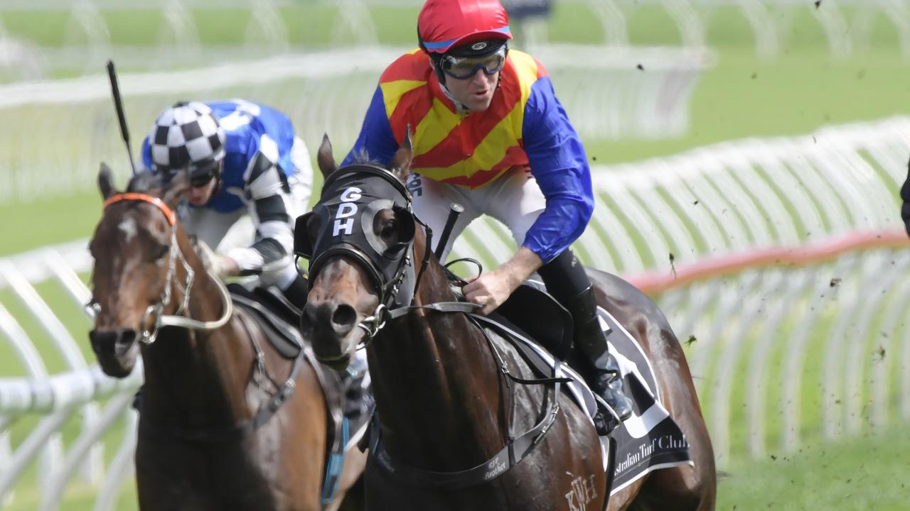 Pierata is ticking along nicely for The Everest. Picture: AAP