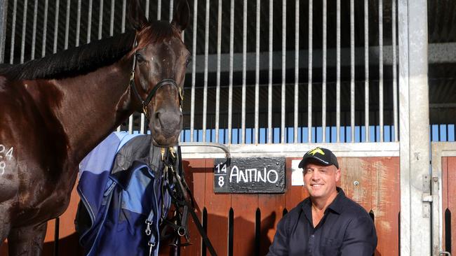 Antino will attempt to win Tony Gollan’s first Group 1 in three years at Caulfield on Saturday. Picture: Steve Pohlner