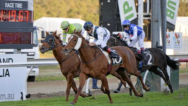 Excitement is building for the 2019 Ipswich Cup after last year's big race continued fine traditions. Picture: Cordell Richardson