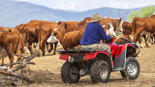 Dry conditions have hit southeast Australia in September, as an El Nino climate pattern was declared by the Bureau of Meteorology.