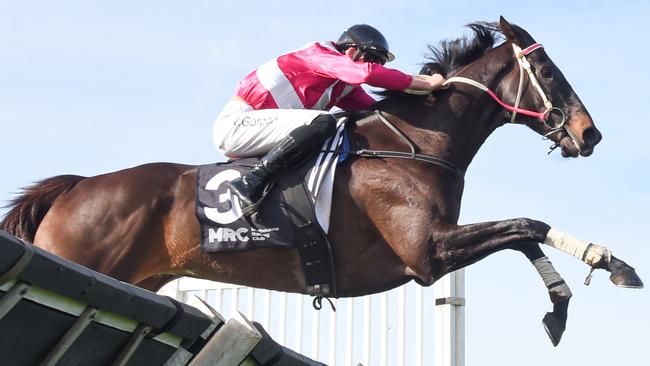 Jumps jockey Will Gordon won the Grand National Hurdle on Affluential earlier this month. Picture: Racing Photos via Getty Images