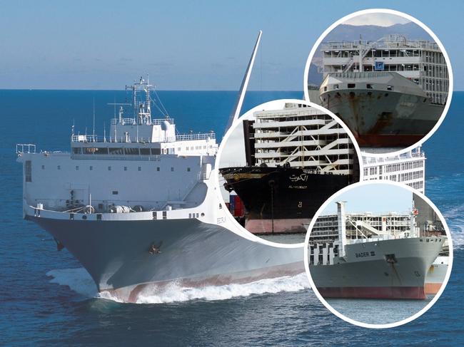 The biggest livestock ship carriers.