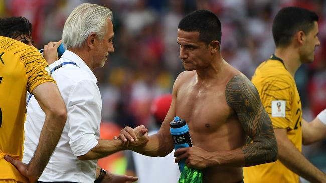 Bert van Marwijk widely criticised for his use of Tim Cahill. Picture: AAP