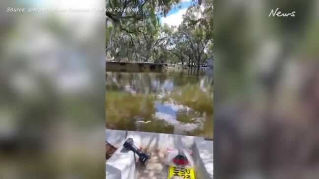 Owner Cassie Davies tours flooded Blanchetown Caravan Park