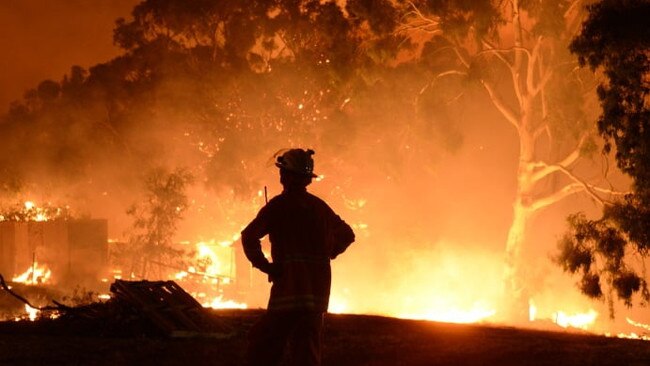 A CFS firefighter watches on as the Cherry Gardens bushfire rages. Picture: CFS Promotions Unit