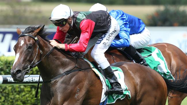 English could be the surprise packet in the Doomben 10,000. Picture: Getty Images
