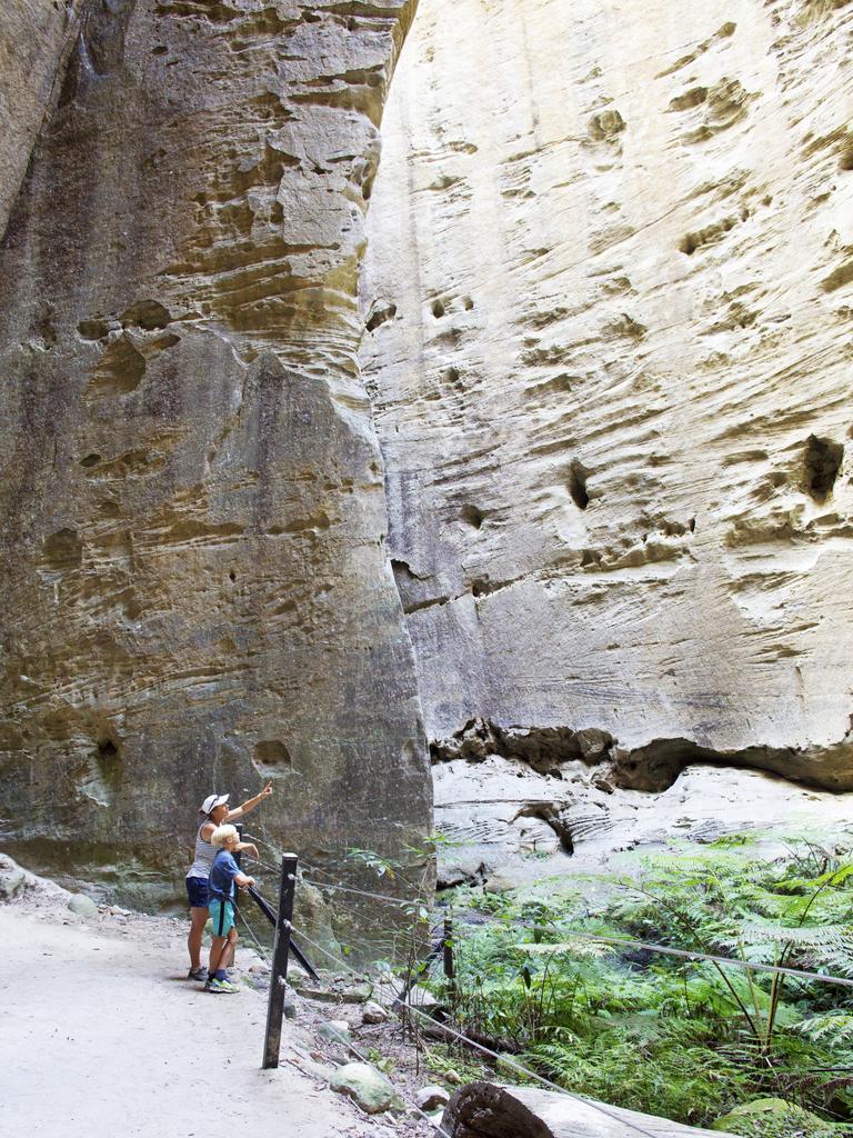 Carnarvon Gorge hikers inside the Amphitheatre. Carnarvon Gorge National Park. Photo: Mark Daffey.