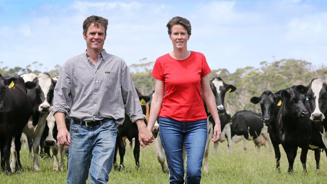 Dairy farmers Dave and Jane Field with some of their Montagu herd in northwest Tasmania. Picture: Chris Kidd