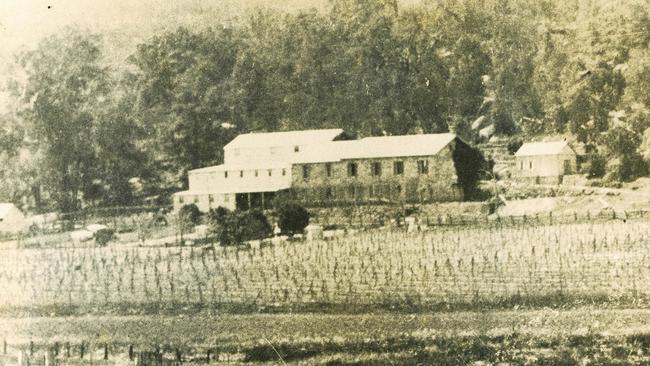 Tizzana Vineyards in 1895. Picture: Tizzana Vineyard Archive Collection