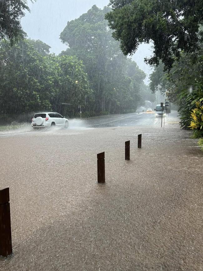 Collins Av through the Cairns Botanic Gardens at about 2pm on Tuesday. Picture: Bethany Du Vergier