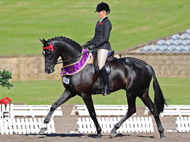 Newcomer Warrawee Impresareeo and Elizabeth Krog. Picture: Lorelle Mercer