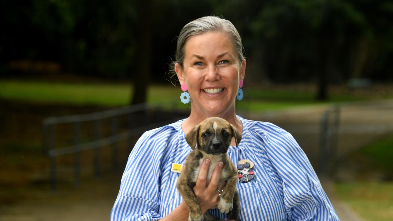 Townsville Pet Rescue Angel-Paws issues call for help, sponsorship |  Townsville Bulletin