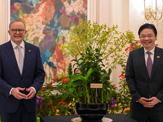 Prime Minister Anthony Albanese and Singapore's Deputy Prime Minister Lawrence Wong. Picture: Roslan Rahman