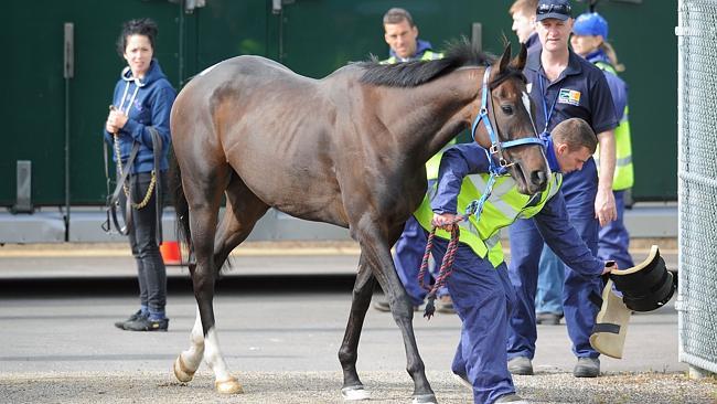 Simenon will race in Saturday's Herbert Power Stakes on his way to the Melbourne Cup. Picture: Getty Images