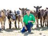 Beef graziers hunt for processor availability