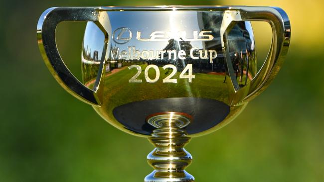 MELBOURNE, AUSTRALIA - MAY 18: The 2024 Melbourne Cup is seen during Andrew Ramsden Race Day at Flemington Racecourse on May 18, 2024 in Melbourne, Australia. (Photo by Vince Caligiuri/Getty Images)