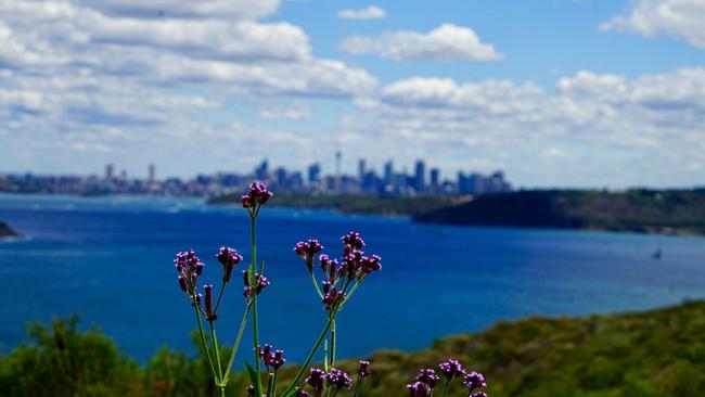 Views from North Head. Picture: Jijay Singh.