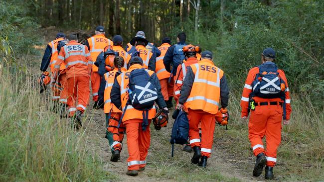 SES crew search for forensic evidence relating to the disappearance of William Tyrrell. Picture: Nathan Edwards