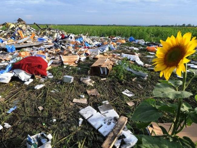 Search for answers: The wreckage of Malaysia Airlines flight MH17 two days after it crashed in a sunflower field in east Ukraine. AFP PHOTO / DOMINIQUE FAGET