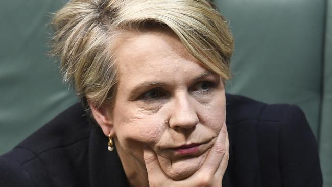 Deputy Opposition Leader Tanya Plibersek has pointed out more than once that Adani is an Indian-owned company, as if that should be an issue. Picture: AAP/Lukas Coch