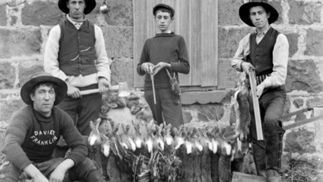 Rabbit hunting as pest control and sport became popular in the early 20th century. Picture: State Library of Victoria