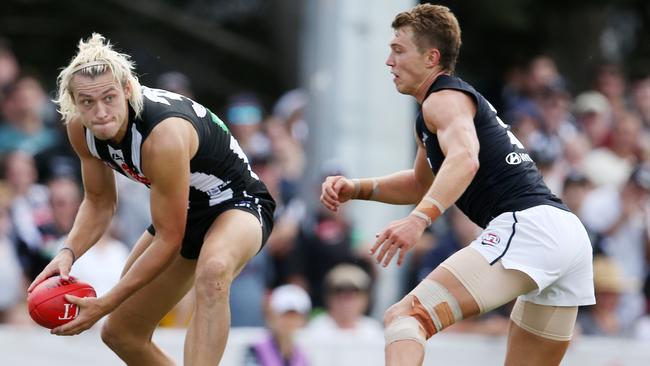 Darcy Moore was good in defence for the Pies. Pic: Michael Klein