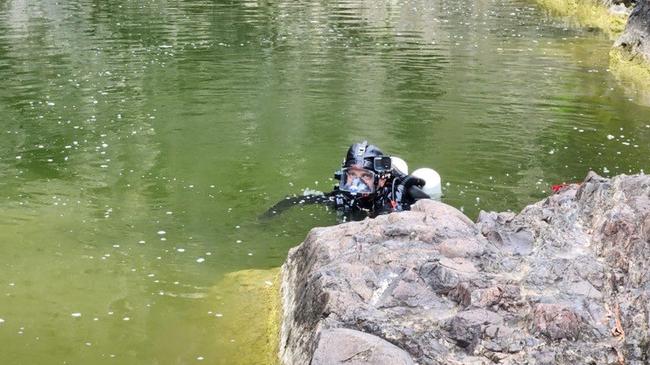 Police divers search Kinbombi Falls, west of Gympie and about 10 minutes from Goomeri, looking for missing man Jack McLennan in February.