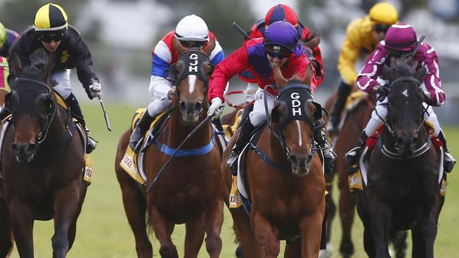 Horse Racing - Grafton Cup Carnival - Ramornie Handicap Day 13/7/2016Dream Folk ( centre ) ridden by Brenton Uvdulla winner of race 5Photograph : Jason O'Brien