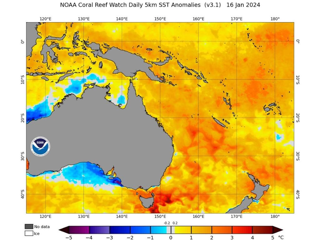 Unusually high temperatures in the Tasman and Coral seas are making it feel extra hot. Picture: Weatherzone.