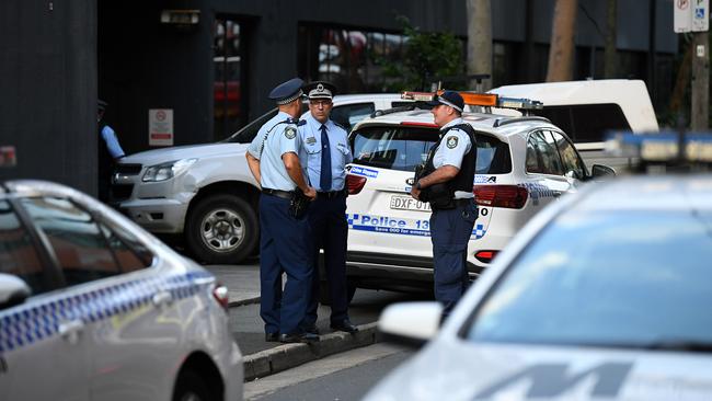 The baboon escape sparked a big police search. (AAP Image/Joel Carrett)