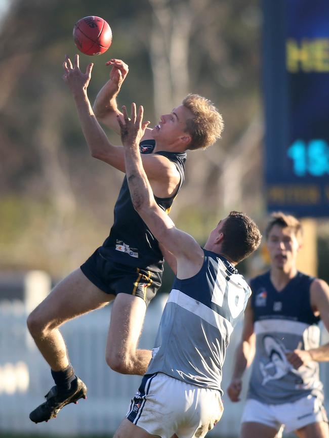 Louis Heard flies high and marks over Henley’s Tom Pillion in Scotch’s crucial win at home. Picture: Dean Martin