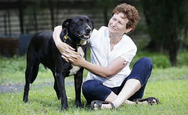 Rhonda Watson thanks her RSPCA-award-winning dog Sam for saving her from a raging bull. Picture: Rob Williams