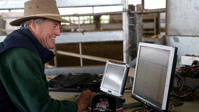 Versatility counts: Angus breeder Brad Gilmour says technology plays a major role in his business.