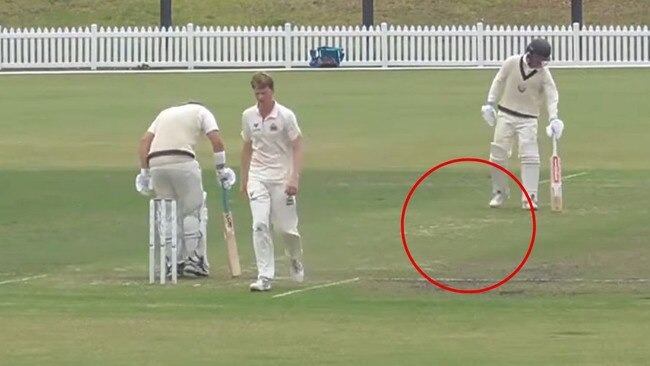 The green Kardinia Park pitch. Picture: Play Cricket