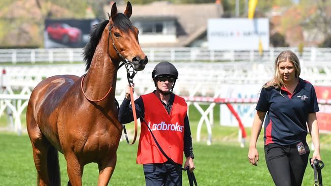 Steel Prince has recovered from a mishap before the Herbert Power Stakes. Picture: AAP