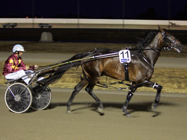 Ben Sarina in the sulky.