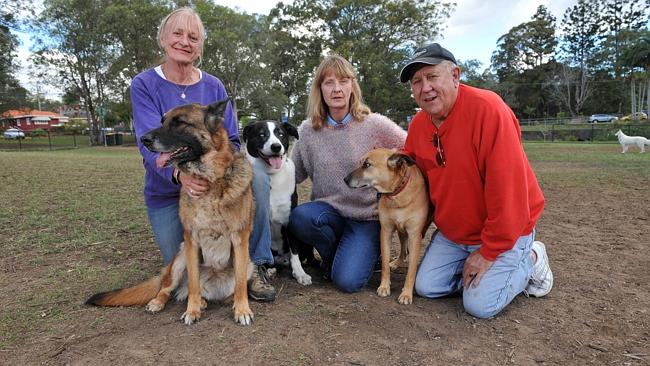 Pet owners were worried about the dust at the Tarragindi off-leash dog ...