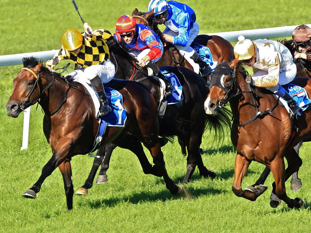 Matt Jones says you can bookend the Wellington program with his two best bets.