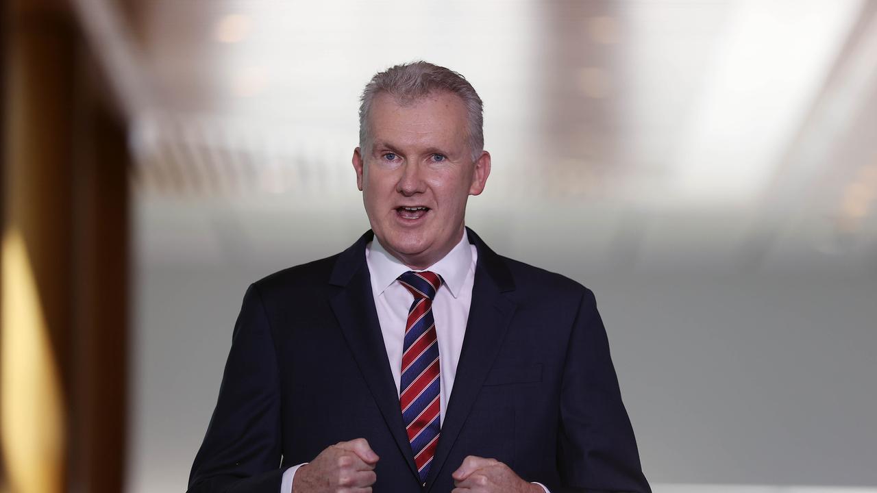 Manager of Opposition Business Tony Burke said the bill was discriminatory. Picture: NCA NewsWire / Gary Ramage