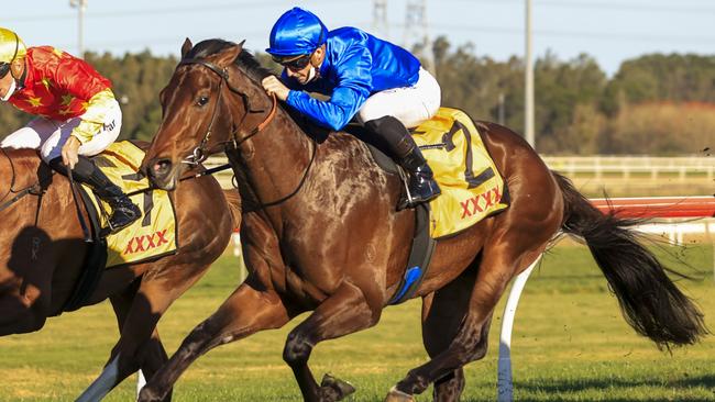 Star colt Anamoe is a hot favourite for the Group 1 Golden Rose. Picture: Getty Images
