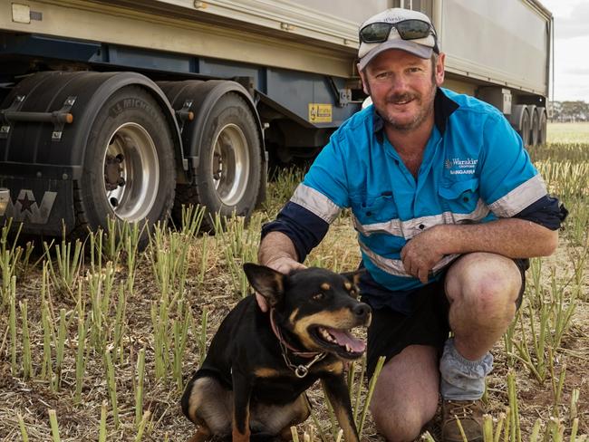 Warakirri Cropping farm manager Jono Robinson,  of Donald, with his Kelpie Meggy. Picture: Rachel Simmonds