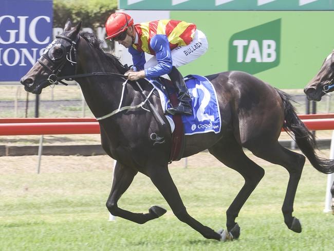 The Greg Hickman-trained Unwritten wins at Muswellbrook on 03/01/2023. Picture: Bradley Photos