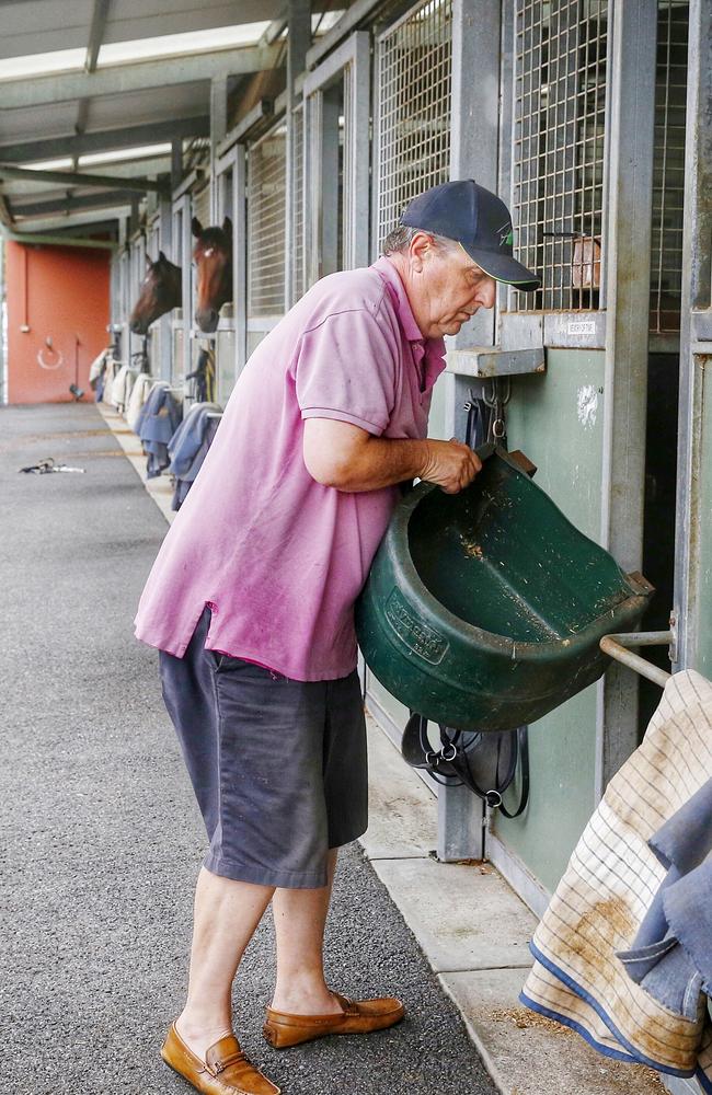 Lee Freedman works around his Flemington stables. Picture: Colleen Petch